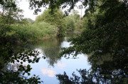 Teich am Schulbach